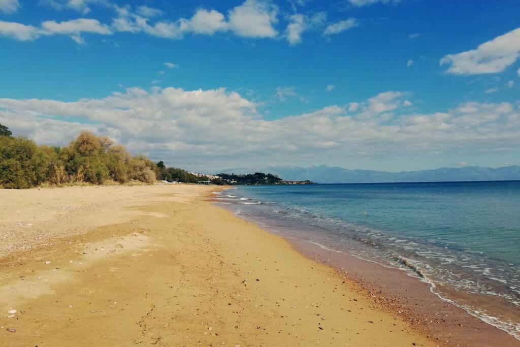 Ueber Den Daechern Von Koroni المظهر الخارجي الصورة